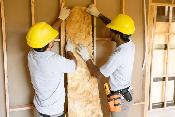 Best Spray Foam Insulation  in Socorro, TX