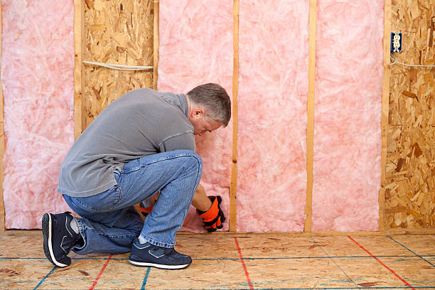 Best Local Insulation Services  in Socorro, TX