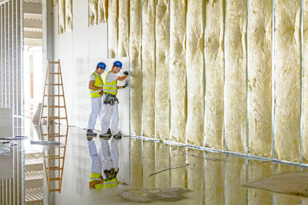 Best Fiberglass Insulation  in Socorro, TX